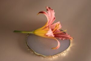 A delicate orange daylily rests gracefully on a polished marble base, showcasing its vibrant colors.