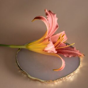 A delicate orange daylily rests gracefully on a polished marble base, showcasing its vibrant colors.